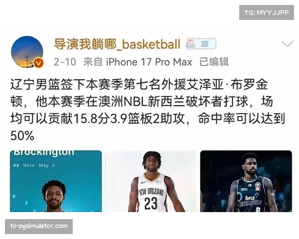 辽宁引进两名新外援应对季后赛卡位战，老牌强队阵容深度获补充